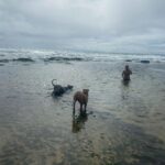 Tomaz Viana Instagram – Aquele clima de verão, um pouco de férias e um pouco de trabalho 💙🫶🏻 Vilas Do Atlantico – Bahia