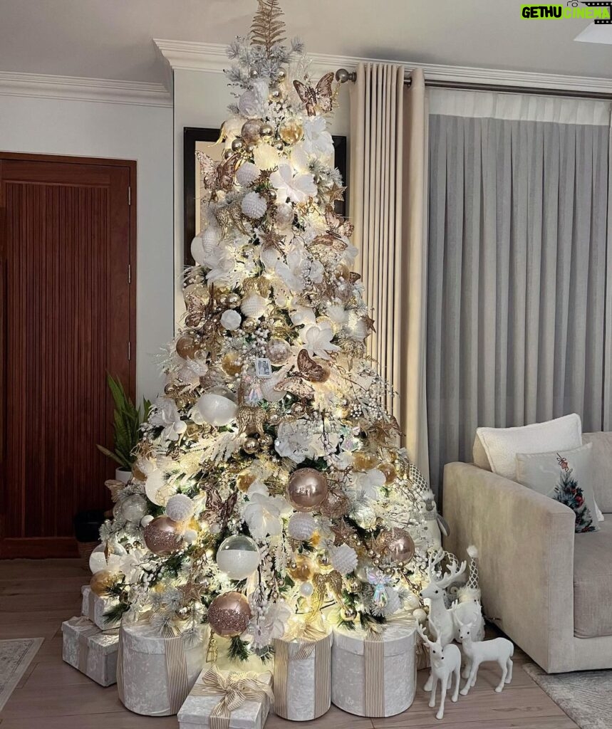 Toni Gonzaga Instagram - Thank you for my white and whimsical Christmas tree!! ✨🎄✨ @randylazaro_