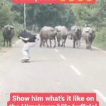 Tony Hawk Instagram - Friday fun: 1) Bolivian girls celebrate their Independence Day in the best possible way (via @imillaskate) 2) THPS… hiking edition? (via chiefgyk3d TikTok) 3) Buffalo stance vs buffalo herd (via @pranalchavan_) 4) @reese__nelson blasting over my fs ng. “Get ready for greatness, Reese”