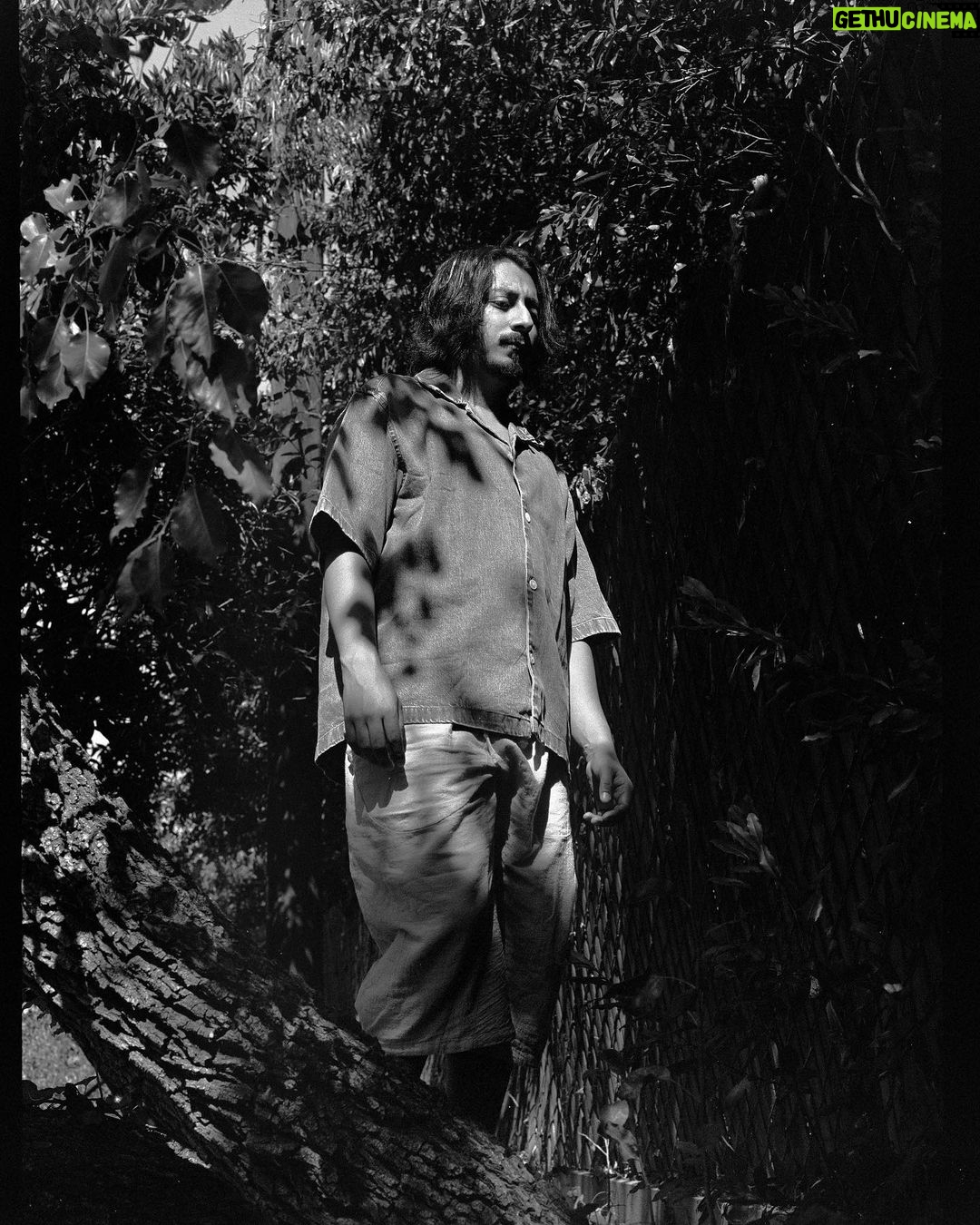 Tony Revolori - 3 Likes - I like being in trees what can I say.
•
📸 @lucettewest