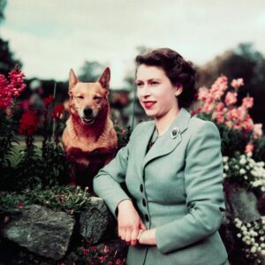 Tony Robbins Instagram - The world has lost a legend. Queen Elizabeth II was the longest-reigning monarch in British history, with over 70 years of devoted servitude to her country and its people.

Her dedication and service in the British Army during WWII, followed by her coronation at 25 were only the beginnings of a legacy whose length of duty brought dignity, elegance, and balance to the world. Her Majesty remained a symbol of steadiness and stability, guiding the people of the UK — and the world — through decades of social and political change.

Not only was she a powerful and inspirational leader, Queen Elizabeth II was also a beautiful example of a mother, grandmother, and great grandmother. Her kindness and hospitality shines on through her beloved family. In the early 90s, I was privileged to visit with members of the Royal Family and will always remember and appreciate the care I received.

We send our heartfelt condolences to her family, and to a nation in mourning. Thank you for your life of service, Queen Elizabeth II. You will forever be honored as an inspiration of a life well lived in strength, sacrifice, and ultimate service to others.

“Over the years, those who have seemed to me to be the most happy, contented and fulfilled have always been the people who have lived the most outgoing and unselfish lives.” — Queen Elizabeth II