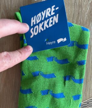 Torbjørn Røe Isaksen Instagram - Dagens valgkampmote: høyresokken! Noen spør kanskje om hvorfor et blått parti som @hoyre har sokker i fargen neon-spygrønn. Mitt klare svar er: Jeg aner ikke. —>