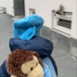 Torbjørn Røe Isaksen Instagram – «SLIK SNAKKER DU MED BARNA OM APEKATTEN JULIUS». Jeg mener vi i pressen har sviktet vårt samfunnsansvar. Apekatten Julius var en bedårende, liten krabat som bodde med mennesker. Nå bor han i «et lite land, like utenfor Kristiansand», på trygg avstand fra folk. Selvfølgelig vil barna besøke ham — søte, lille fyren. Men hvordan skal vi finne ordene for å forklare at babyapekatten Julius er blitt et voksent fjell på snart 43 år (gratulerer med dagen som kommer den 26.12 Julius!!!!!). Ja, du «hører ham og vet han er på vei…eee…ei» for han er en svær manne-apekatt på sikkert 60-70 kilo. Julius «han venter» ikke «på deg». Du får ikke komme nær ham. Dette må da være en sak for Hedvig Montgomery eller noen andre?!?!!!?!! …!