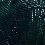 Torstein Horgmo Instagram - High Vibrations 🌬✨ 💗 #PuraVida