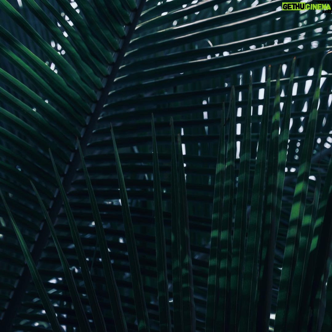Torstein Horgmo - 5.9K Likes - High Vibrations 🌬✨ 💗
#PuraVida