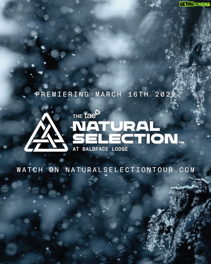Torstein Horgmo Instagram - @naturalselection goes live today! Tune in and check out all the madness from @baldfacelodge this is gonna be nuts! 🤙🏻