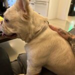Travis Barker Instagram - Life is like a box of chocolates