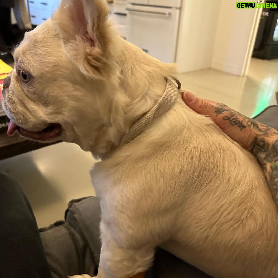 Travis Barker Instagram - Life is like a box of chocolates