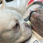 Travis Barker Instagram - Just the two of us 🐶