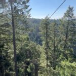 Travis Barker Instagram - Used to be afraid of heights