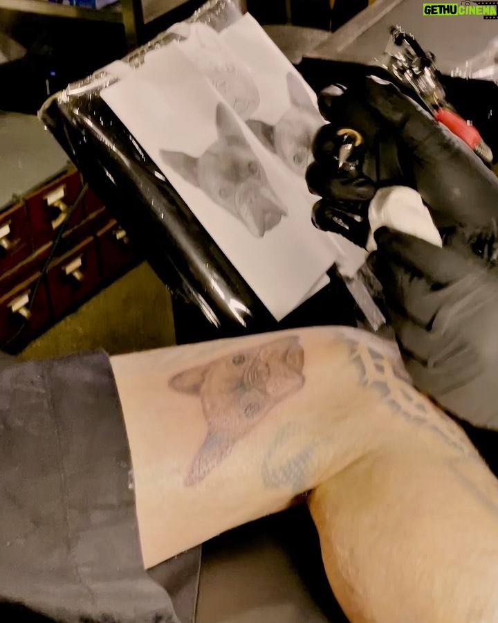 Travis Barker Instagram - Grateful for this tattoo @_dr_woo_ honoring my boy Blue 🙏🏼
