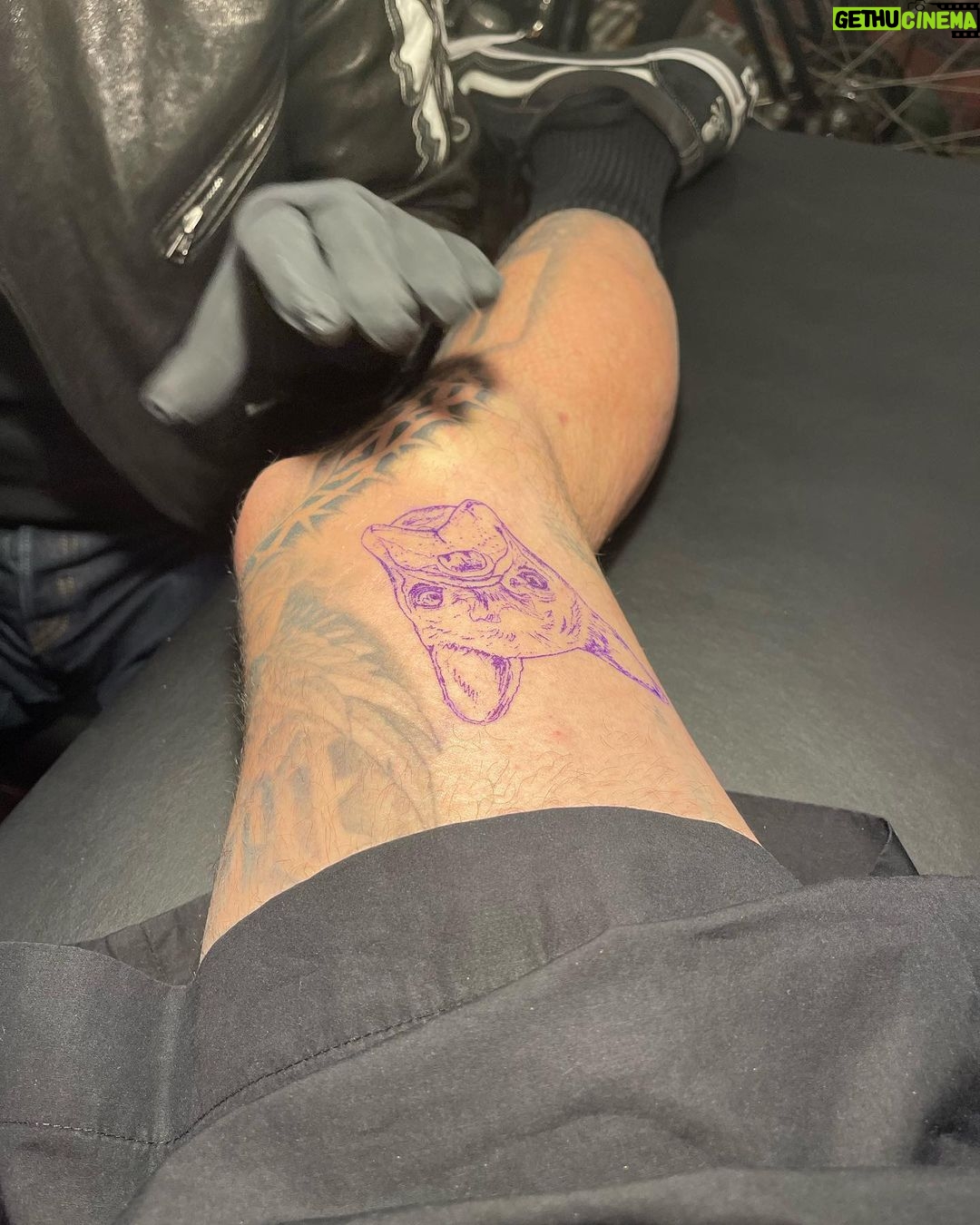 Travis Barker Instagram - Grateful for this tattoo @_dr_woo_ honoring my boy Blue 🙏🏼