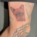 Travis Barker Instagram - Grateful for this tattoo @_dr_woo_ honoring my boy Blue 🙏🏼
