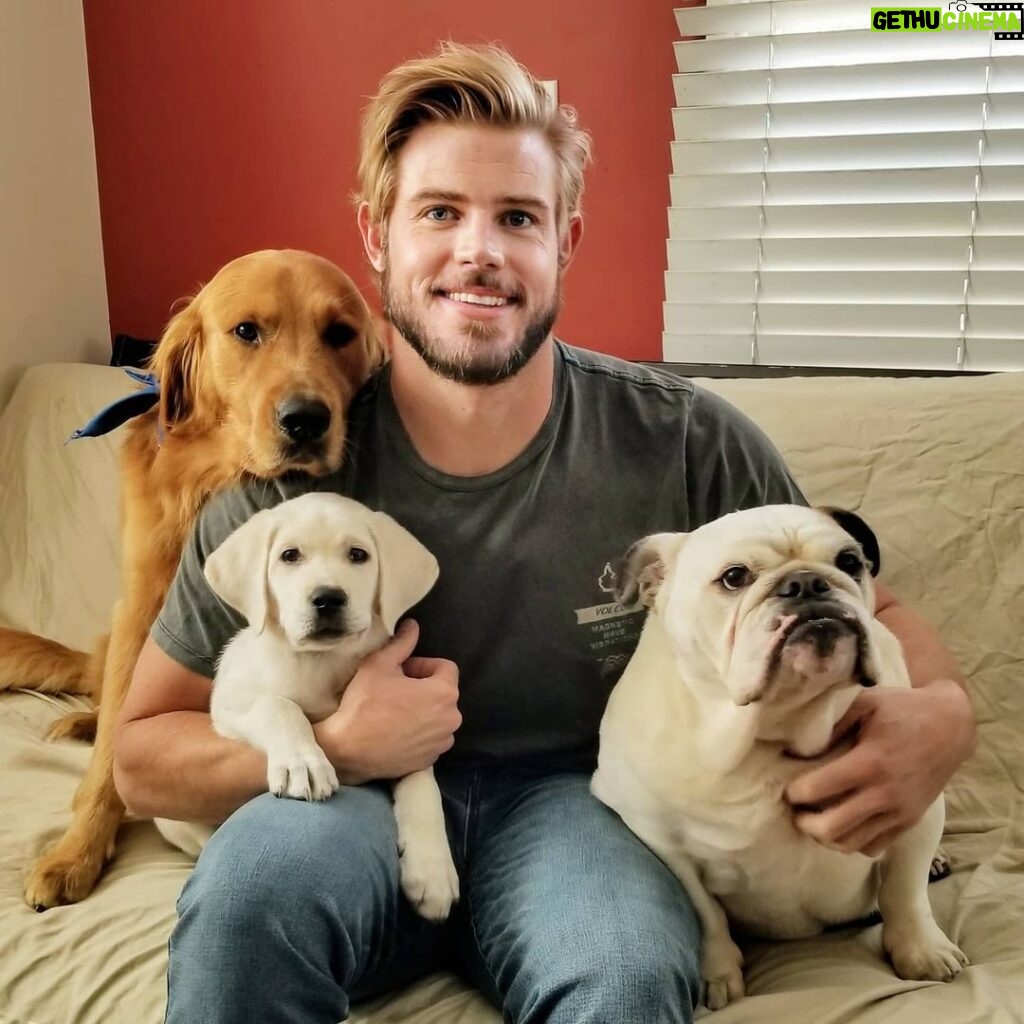 Trevor Donovan Instagram - Of course I believe in unconditional love. I have dogs. 😉