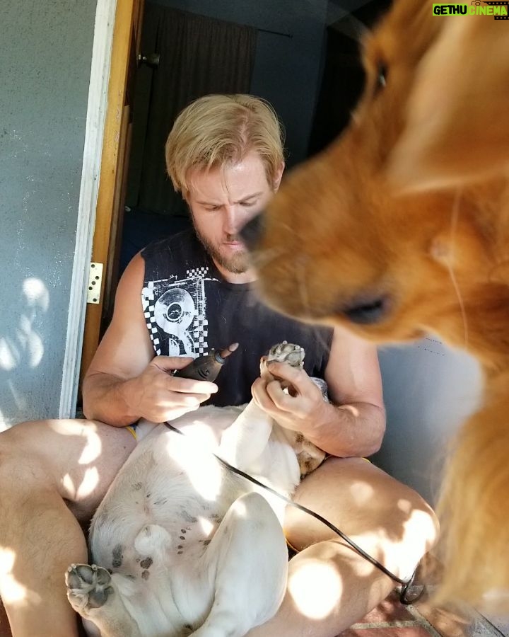 Trevor Donovan Instagram - Tito getting his nails did Los Angeles, California