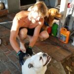 Trevor Donovan Instagram - Tito loves having his butt & back scratched with these new shedding gloves. Shadow is patiently waiting his turn. #dogsofinstagram