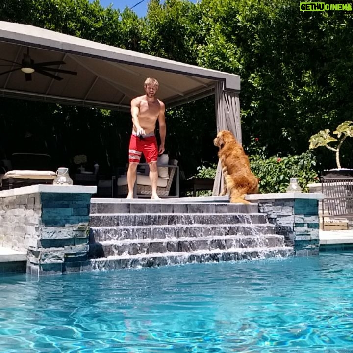 Trevor Donovan Instagram - Stay still Shadow... 😬 Did you get in a pool yet this summer? #fridayvibes