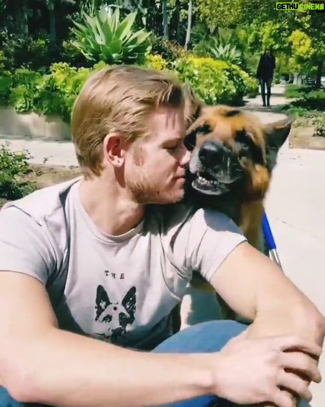 Trevor Donovan Instagram - When you are sorrowful look again in your heart, and you shall see that in truth you are weeping for that which has been your delight.