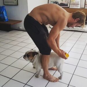 Trevor Donovan Instagram - Things a #Bulldog owner must do.  #Dogs #nationaldogday