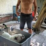 Trevor Donovan Instagram - Bath time for #Bulldog