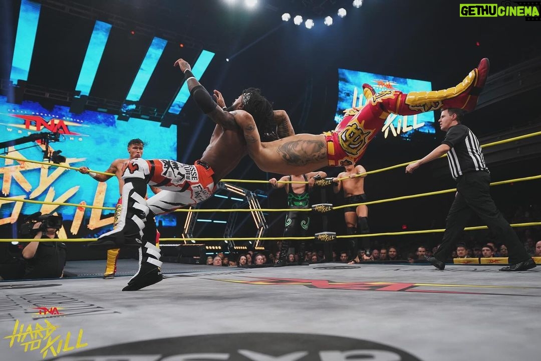 Trey McBrayer Instagram - Total Nonstop Assholes @beezzzzy