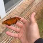 Trey McBrayer Instagram - This just made my whole day 🦋