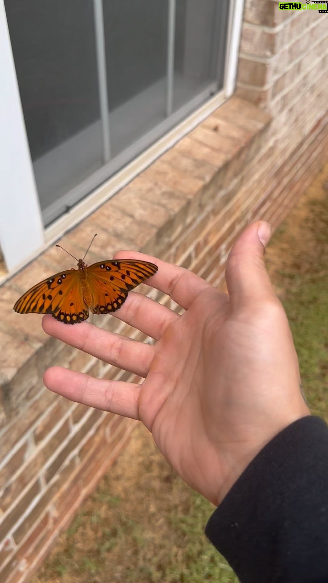 Trey McBrayer Instagram - This just made my whole day 🦋