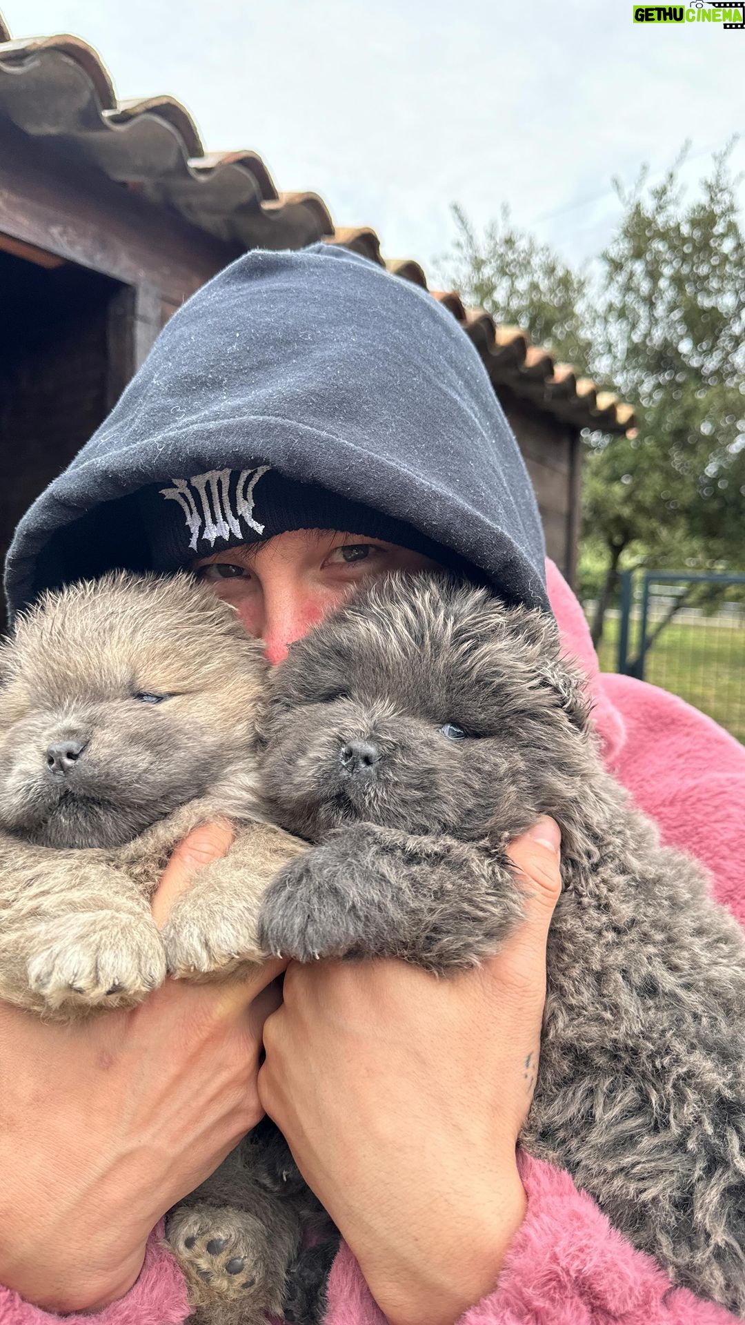 Tristan Defeuillet-Vang - 23.6K Likes - meilleur anti-dépresseur @elevage_des_joyaux_de_tsar 🐶 ❤️