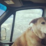 Troian Bellisario Instagram - Rocky Mountain Life. Rocky Mountain National Park, Colorado