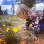 Troian Bellisario Instagram - Utah, could you tone it down?