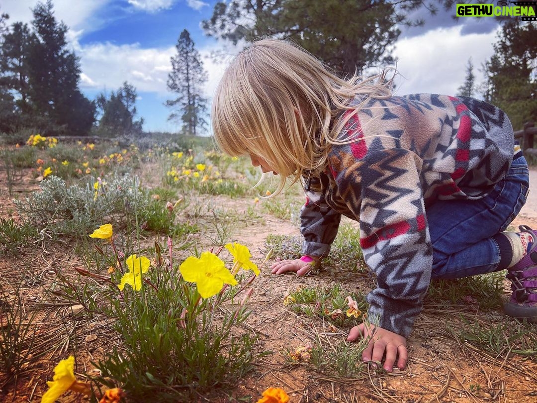 Troian Bellisario Instagram - Utah, could you tone it down?