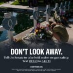 Troian Bellisario Instagram - Today is the day you call. Today is the day we call. It's up to us to make sure senators #DontLookAway from our country's gun violence crisis. Call your senators to demand action on gun safety: Text BOLD to 644-33 and @Everytown will connect you.