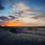 Troian Bellisario Instagram - Tone it down, Taos.