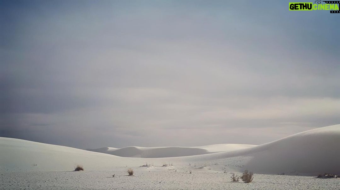Troian Bellisario Instagram - White Sands National Park