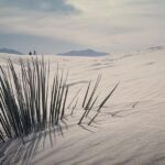 Troian Bellisario Instagram - White Sands National Park