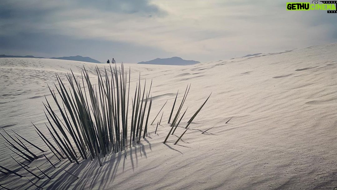 Troian Bellisario Instagram - White Sands National Park