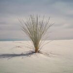 Troian Bellisario Instagram - White Sands National Park