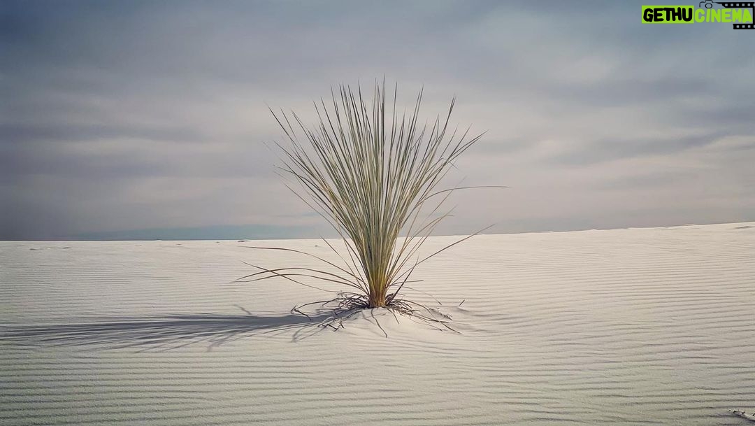 Troian Bellisario Instagram - White Sands National Park