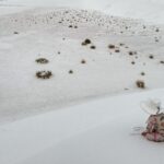 Troian Bellisario Instagram - White Sands National Park