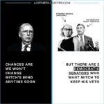 Troian Bellisario Instagram - Senators Joe Manchin and Kyrsten Sinema are willing to let Mitch McConnell keep his beloved filibuster. But we can help #AxeTheFilibuster by donating to local organizers who are holding Manchin and Sinema accountable. Click the link in my bio to learn more.
