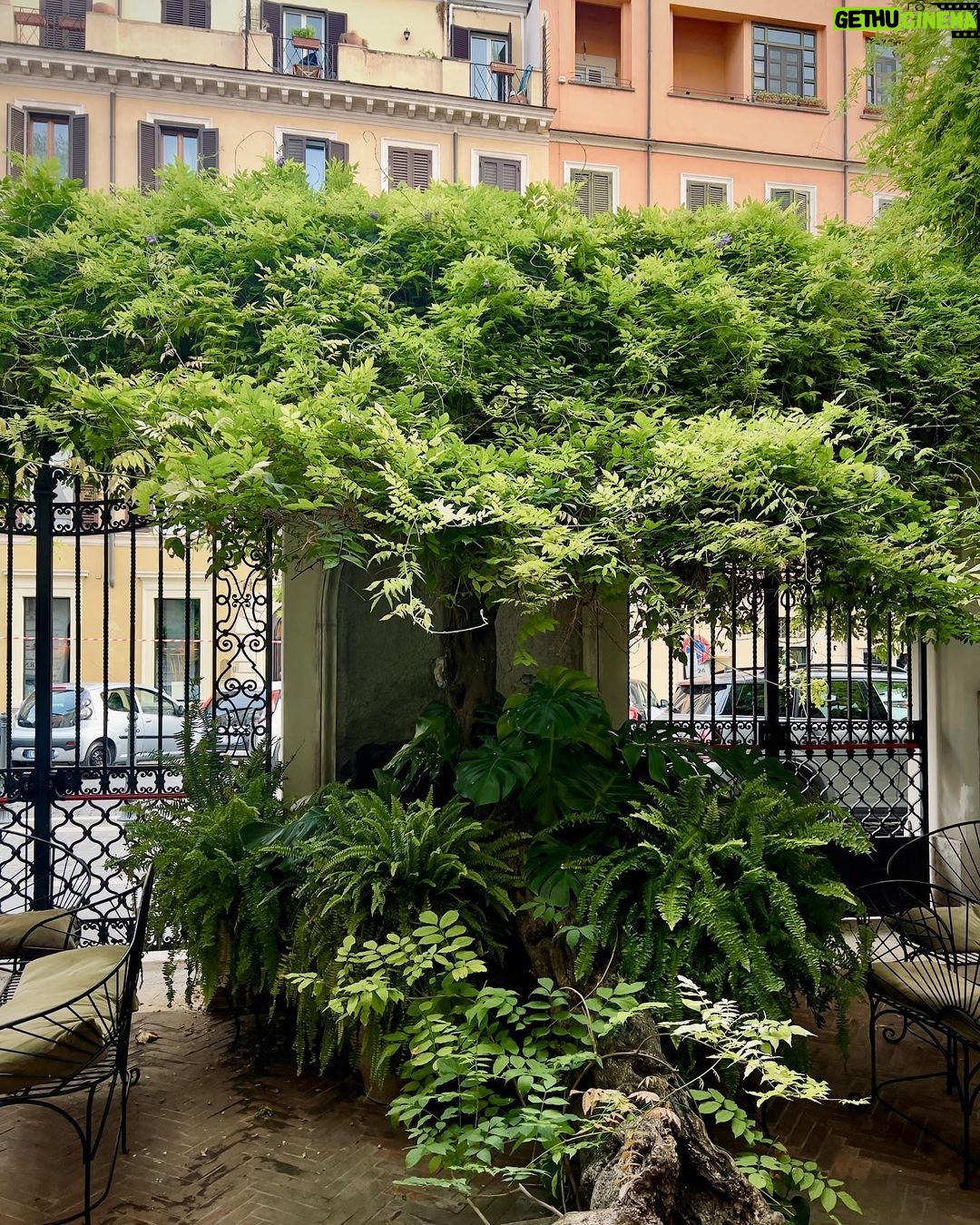 Troian Bellisario Instagram - Tutto è perfetto nel @locarnohotelrome Grazie mille! Arrivederci!! Italy, Rome.