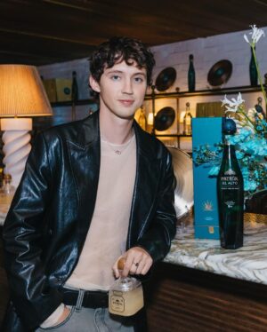 Troye Sivan Instagram - Last night was one of the best nights of my life. I love all of you, love my friends, love my family. Thank you @recordingacademy for the nominations 🤍 thank you @prada for making me feel so handsome 🤍 #hairbyschwarzkopf #schwarzkopfpro #stmntgrooming