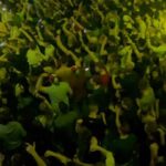 Tuneboy Instagram - Never ever thought we'd get such a reaction through the entire set. This was truly UNREAL! #tnt #technoboy #tuneboy #reversebass #hardstyle #reverze #bassevents #antwerp