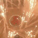 Tuneboy Instagram - A message from @q_dance : (Full video link in bio) Dear Weekend Warriors, The last three days mark a rare chapter in the history of Defqon.1. We’ve witnessed extreme levels of dedication and unity in a world that doesn’t allow us to physically connect with each other. From the crazy energy of the Zoom Room and the countless comments in the chat and on social media to the thousands of Q-dance Quiz participants: you guys have shown us that the power of an orange heart can conquer all. It’s been a journey that we’ll never forget and we’re extremely grateful to have you as our fans. It is our deepest desire to soon be reunited again. For without you, we are lost. That’s why we have a special message. A message for our community and for the rest of the world. THE SHOW MUST GO ON. Please share this message and video with everyone you know. Forever as one tribe. Q-dance Walibi Holland