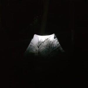 Tuppence Middleton Instagram - Wild camping 🖤🌜