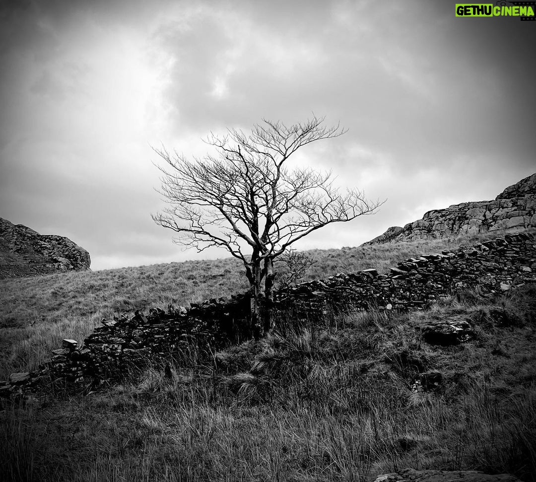 Tuppence Middleton Instagram - Snowdonia / a shot from every folk horror film ever made