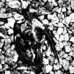 Tuppence Middleton Instagram - Hope is the thing with feathers