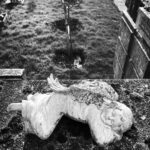 Tuppence Middleton Instagram - The lost angels of Kensal Green