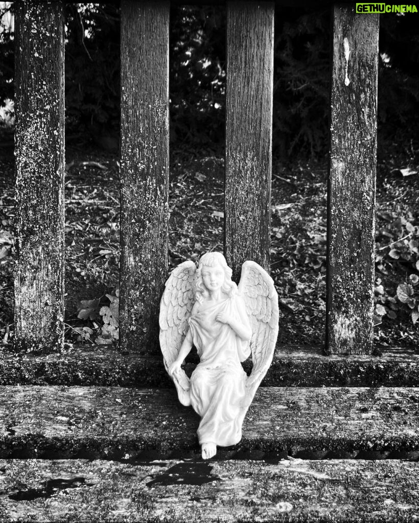 Tuppence Middleton Instagram - The lost angels of Kensal Green