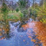 Tuvana Türkay Instagram - 🍁🍂 Regent's Park